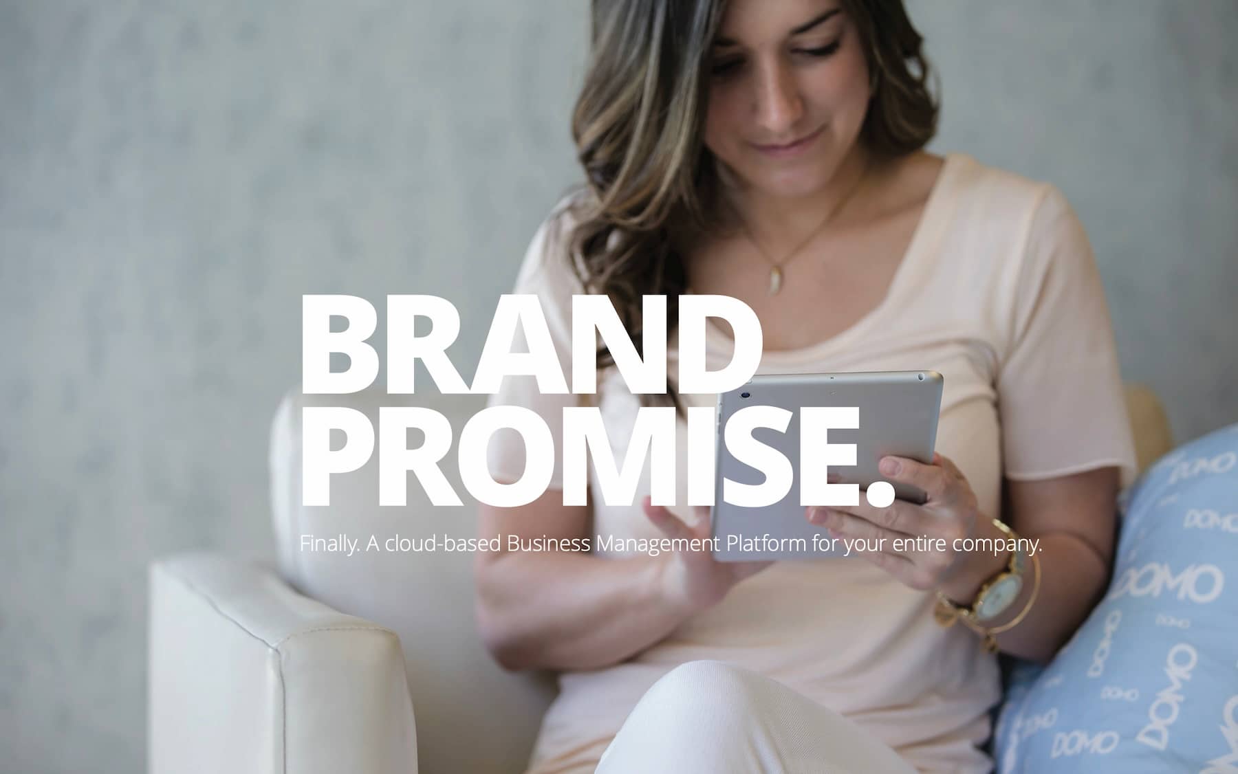 Domo brand guidelines cover